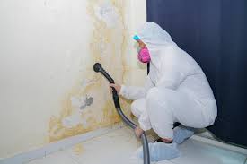 Best Industrial Mold Remediation  in Stanfield, OR